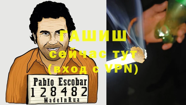 шишки Лабытнанги