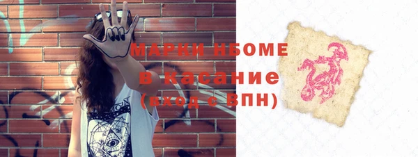 шишки Лабытнанги