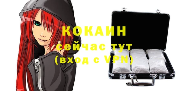 шишки Лабытнанги