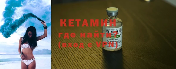 шишки Лабытнанги