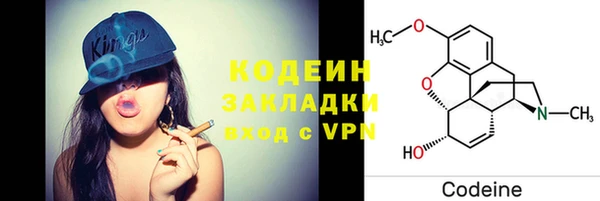 шишки Лабытнанги