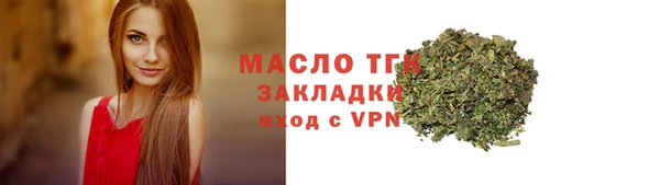 шишки Лабытнанги
