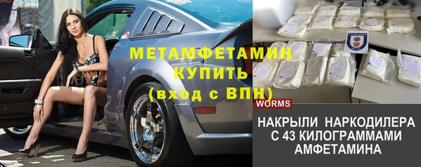 шишки Лабытнанги