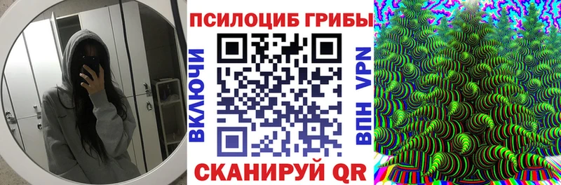 Псилоцибиновые грибы ЛСД  Купить где  Нюрба 
